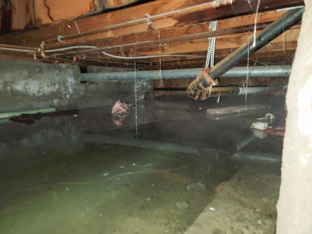 Best Residential water damage restoration  in Thornport, OH