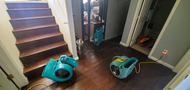 Best Flood restoration services  in Thornport, OH