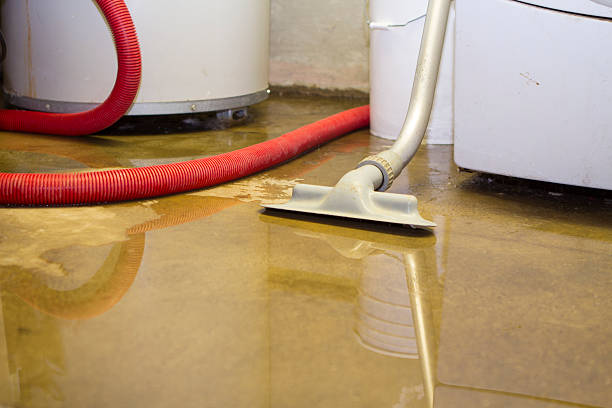 Best 24-hour water damage restoration  in Thornport, OH