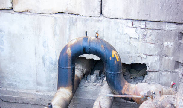 Best Carpet water damage restoration  in Thornport, OH