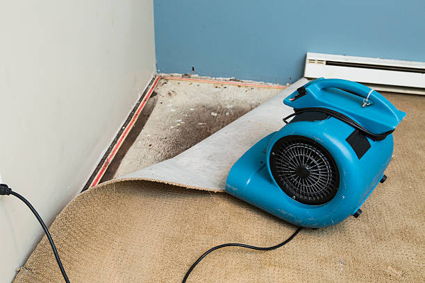 Best Water damage restoration insurance claims  in Thornport, OH